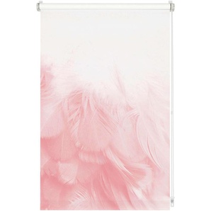 EASYFIX Rollo Digiprint Federboa