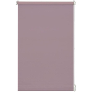 EASYFIX Rollo Uni Perlmuttrosa