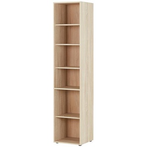 Eckregal  Multiraumkonzept ¦ holzfarben ¦ Maße (cm): B: 40 H: 185 T: 38.0