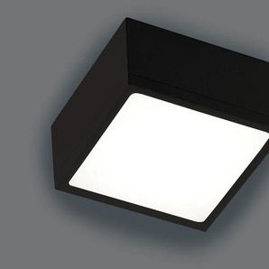 ECO-LIGHT Deckenleuchte »Klio«, Leuchtmittel LED-Modul   LED fest integriert