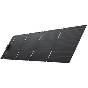 EcoFlow 60 W Portable Solar Panel - USB-C  XT60i