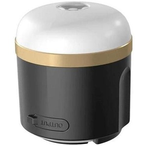 EcoFlow Camping Light