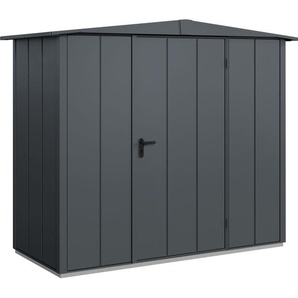 EcoStar Gerätehaus Elegant-S Typ 1 anthrazitgrau 1 flg 258,8 x 121,3 cm GLO692652144