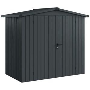 EcoStar Metallgerätehaus Euroline ESD3 anthrazit 214 x 118 cm 2-flg. GLO692652632