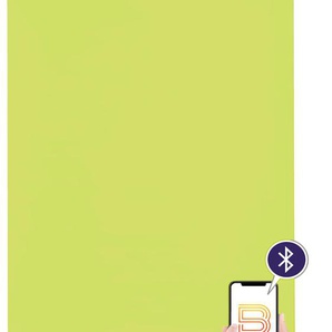 Elektrisches Rollo SUNLINES Akkurollo Upcycling appgesteuert, blickdicht, Sunlines Rollos Gr. 220 cm, stufenlos positionierbar, Rollo und Ladekabel, 60 cm, grün (limette) Rollos