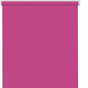 Elektrisches Rollo SUNLINES Los Angeles Rollos Gr. 180 cm, stufenlos positionierbar, Rollo einzeln, 100 cm, pink (magenta, weiß) Verdunkelungsrollos
