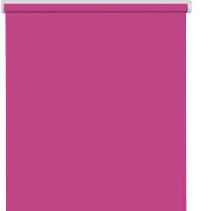 Elektrisches Rollo SUNLINES Los Angeles Rollos Gr. 180 cm, stufenlos positionierbar, Rollo einzeln, 120 cm, pink (magenta, weiß) Verdunkelungsrollos