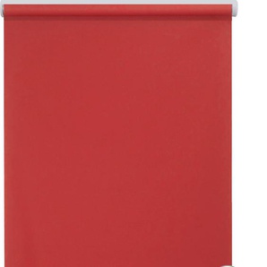 Elektrisches Rollo SUNLINES New York Rollos Gr. 180 cm, stufenlos positionierbar, Rollo einzeln, 110 cm, rot (rot, weiß) Verdunklungsrollo Verdunkelungsrollos