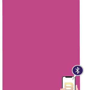 Elektrisches Rollo SUNLINES San Francisco Rollos Gr. 180 cm, stufenlos positionierbar, Rollo und Ladekabel, 100 cm, pink (magenta, weiß) Verdunkelungsrollos appgesteuert via Bluetooth, mit Motor und Akku, weißer Fallstab