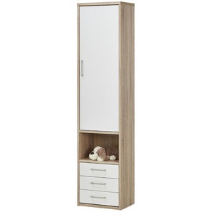 Element  Arne ¦ holzfarben ¦ Maße (cm): B: 50,5 H: 211 T: 35.5