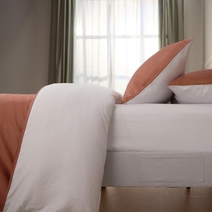 Emma Premium Plus Spannbettlaken | Hellgrau | 200x200cm