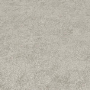 Erismann Vliestapete Uni taupe 10,05 x 0,53 m GFMc878e5002