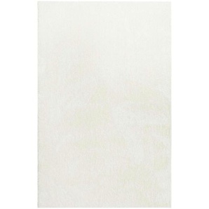 Esprit Hochflorteppich   ¦ beige ¦ Synthetische Fasern ¦ Maße (cm): B: 160 H: 3