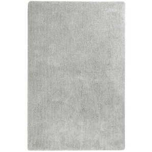 Esprit Hochflorteppich ¦ grau ¦ Synthethische Fasern ¦ Maße (cm): B: 120 H: 2,5