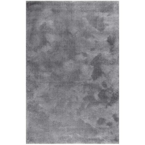 Esprit Hochflorteppich ¦ grau ¦ Synthetische Fasern ¦ Maße (cm): B: 120 H: 2,5