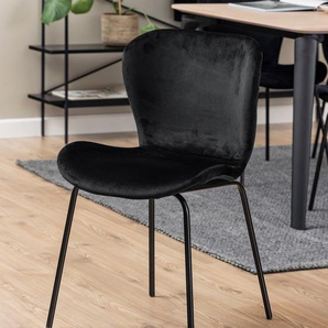 Esszimmerstuhl ACTONA GROUP Stühle Gr. B/H/T: 48 cm x 83 cm x 55 cm, 2 St., Polyester, Metall, schwarz (schwarz, schwarz) Küchenstühle mit edlem Samtstoff und schwarzen Metallbeinen.