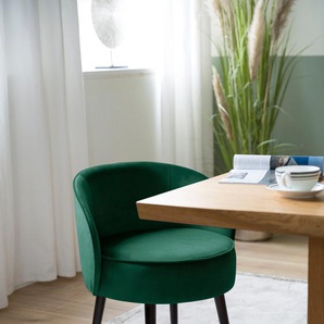 Esszimmerstuhl FINK JAMIE Stühle Gr. B/H/T: 59 cm x 75 cm x 57 cm, Samtvelours VELVET, grün (grün velvet) Küchenstühle mit runder Sitzfläche