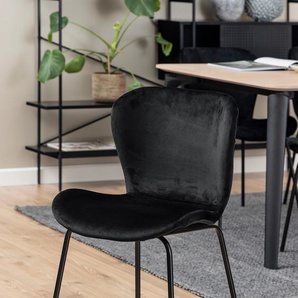 Esszimmerstuhl INOSIGN Britta Stühle Gr. B/H/T: 48 cm x 83 cm x 55 cm, 2 St., Polyester, Metall, schwarz (schwarz, schwarz) Küchenstühle mit edlem Samtstoff und schwarzen Metallbeinen.