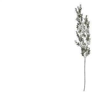 Eukalyptushänger - grün - Kunststoff | Möbel Kraft