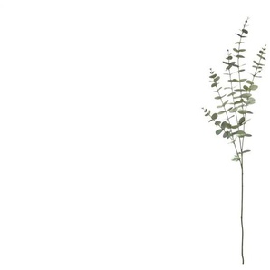 Eukalyptuszweig - grün - Kunststoff - 122 cm | Möbel Kraft