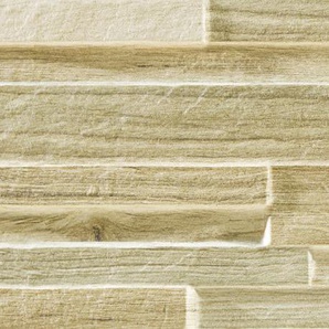 Euro Stone Verblendstein EOS 52 x 17 cm beige-braun GLO776100067