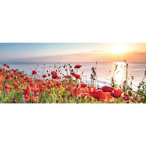 Euroart Glasbild, Mehrfarbig, Glas, rechteckig, 50x125x1.40 cm, Fotografie, einfache und schnelle Anbringung, glänzend, Bilder Und Zubehör,