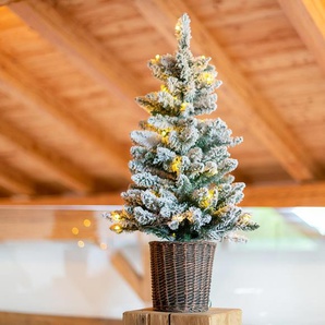 Evergreen LED-Weihnachtsbaum mit geflochtenem Übertopf - schwarz -
