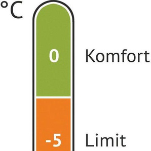 EXPLORER Mumienschlafsack Grönland Camping Schlafsack 230x82x55cm Outdoor warm (0°C bis -23°C Frühling/Sommer/Herbst/Winter Reise Festival), kombinierbar 1900g