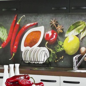 EXPRESS KÜCHEN Küchenrückwand Gewürze Spritzschutzwände Gr. B/H: 240 cmx55,9 cm, bunt Küchendekoration