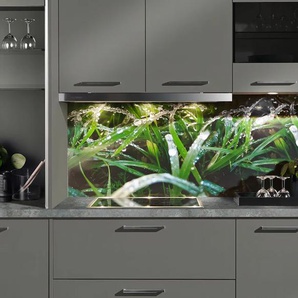 EXPRESS KÜCHEN Küchenrückwand Regenwald, als Spritzschutz geeignet, mit Schutzlack versehen Spritzschutzwände Gr. B/H: 120 cm x 56 cm, bunt Küchendekoration
