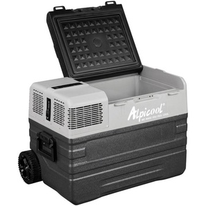 F (A bis G) ALPICOOL Elektrische Kühlbox NX42 Kühlboxen 42L Kompressor-Kühlbox, im Fahrzeug und zu Hause nutzbar grau Kühlboxen