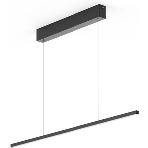 F (A bis G) LED Pendelleuchte EVOTEC eXiro Lampen Gr. Höhe: 1 cm, schwarz LED Hängeleuchten und Pendelleuchten