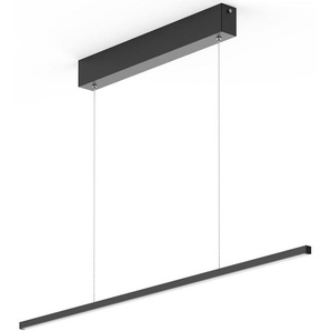 F (A bis G) LED Pendelleuchte EVOTEC eXiro Lampen Gr. Höhe: 61 cm, schwarz LED Hängeleuchten und Pendelleuchten