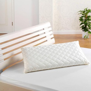Dinkelkörnerkissen F.A.N. SCHLAFKOMFORT Dinkelkissen Kopfkissen Gr. B/L: 40 cm x 60 cm, Baumwolle, 1 St., beige (creme) Körnerkissen Kopfkissen robustes Kissen mit naturgesunder Füllung
