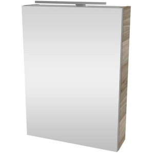 Fackelmann - luxor Spiegelschrank mit LED-Beleuchtung – Alibertschrank für Bad und Gäste-WC (50 x 68 x 15,3 cm) – sbc Badschrank mit Spiegel in Holz