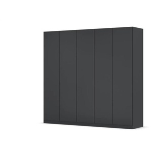 Falttürenschrank Wingview Premium | grau | 226 cm | 210 cm |