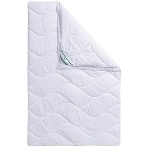 fan Microfaserbettdecke Microfaser kochfest, Bettdecken für Sommer und Winter, Decke, Füllung: 100% Polyester, Bezug: 100% Polyester, Bettdecke 135x200 cm, 155x220 cm und weitere Größen, Made in Germany