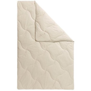 fan Naturfaserbettdecke TENCEL™ Leinen, Füllung: 50% Lyocell (TENCEL), 50% Leinen, Bezug: 100% Baumwolle, natürlich, kühlendes Schlafklima
