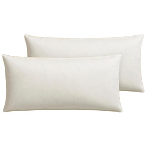 Federkissen OTTO KELLER Annabelle Kopfkissen Gr. B/L: 40 cm x 80 cm, Baumwolle, 2 St., beige (creme) Allergiker Kopfkissen in vielen verschiedenen Größen erhältlich. Von 40x40 bis 80x80cm
