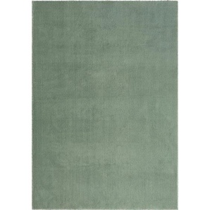 Novel Fellteppich Relax, Grün, Textil, Uni, rechteckig, 160x220 cm, Bsci, für Fußbodenheizung geeignet, Teppiche & Böden, Teppiche, Fellteppiche