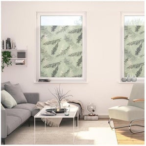 Fensterfolie Fensterfolie selbstklebend, Sichtschutz, Fir Branches - Grün, LICHTBLICK ORIGINAL, blickdicht, glatt