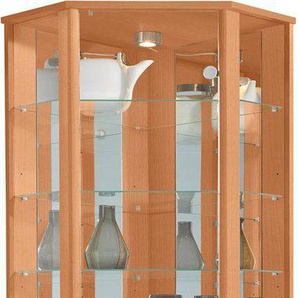 fif möbel Eckvitrine TRIO Höhe ca. 172 cm, ink. Beleuchtung Eckvitrine/Glasvitrine 1x Glastür, perfekt für Sammler, Sammlervitrine