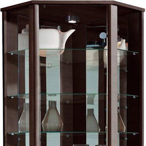 fif möbel Eckvitrine TRIO Höhe ca. 172 cm, ink. Beleuchtung Eckvitrine/Glasvitrine 1x Glastür, perfekt für Sammler, Sammlervitrine