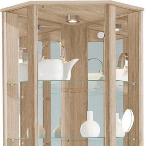 fif möbel Eckvitrine TRIO Höhe ca. 172 cm, ink. Beleuchtung Eckvitrine/Glasvitrine 1x Glastür, perfekt für Sammler, Sammlervitrine