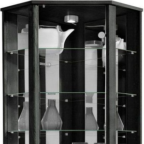 fif möbel Eckvitrine TRIO Höhe ca. 172 cm, ink. Beleuchtung Eckvitrine/Glasvitrine 1x Glastür, perfekt für Sammler, Sammlervitrine