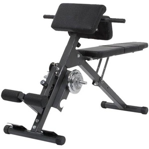FINNLO Bauchtrainer Ab&Back Trainer 3869