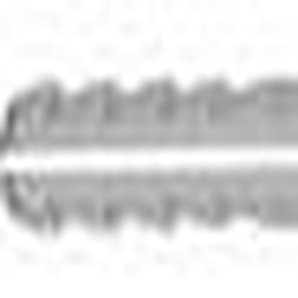 Fischer Nageldübel N 5x40/15 F (100) 513737