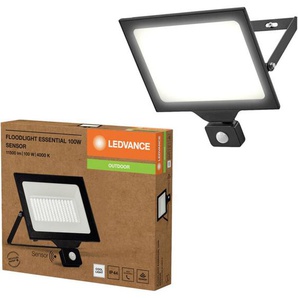 Fl Essential 4058075831599 LED-Flutlichtstrahler 100 w Kaltweiß - Ledvance