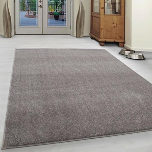 Flachgewebe-Teppich Baer in Beige