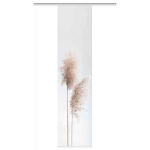 Flächenvorhang Irlos, Sand, Textil, Blume, 60x260 cm, mit Paneelwagen, Wohntextilien, Gardinen & Vorhänge, Schiebegardinen